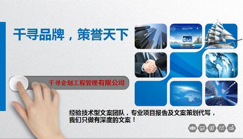 平陸本地優勢精英策劃銷售項目計劃書——技術咨詢篇