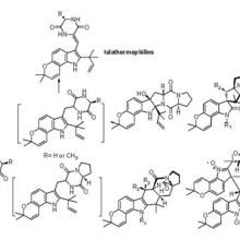 新科公司 以測(cè)速電機(jī)為核心，打造卓越技術(shù)咨詢與服務(wù)體系